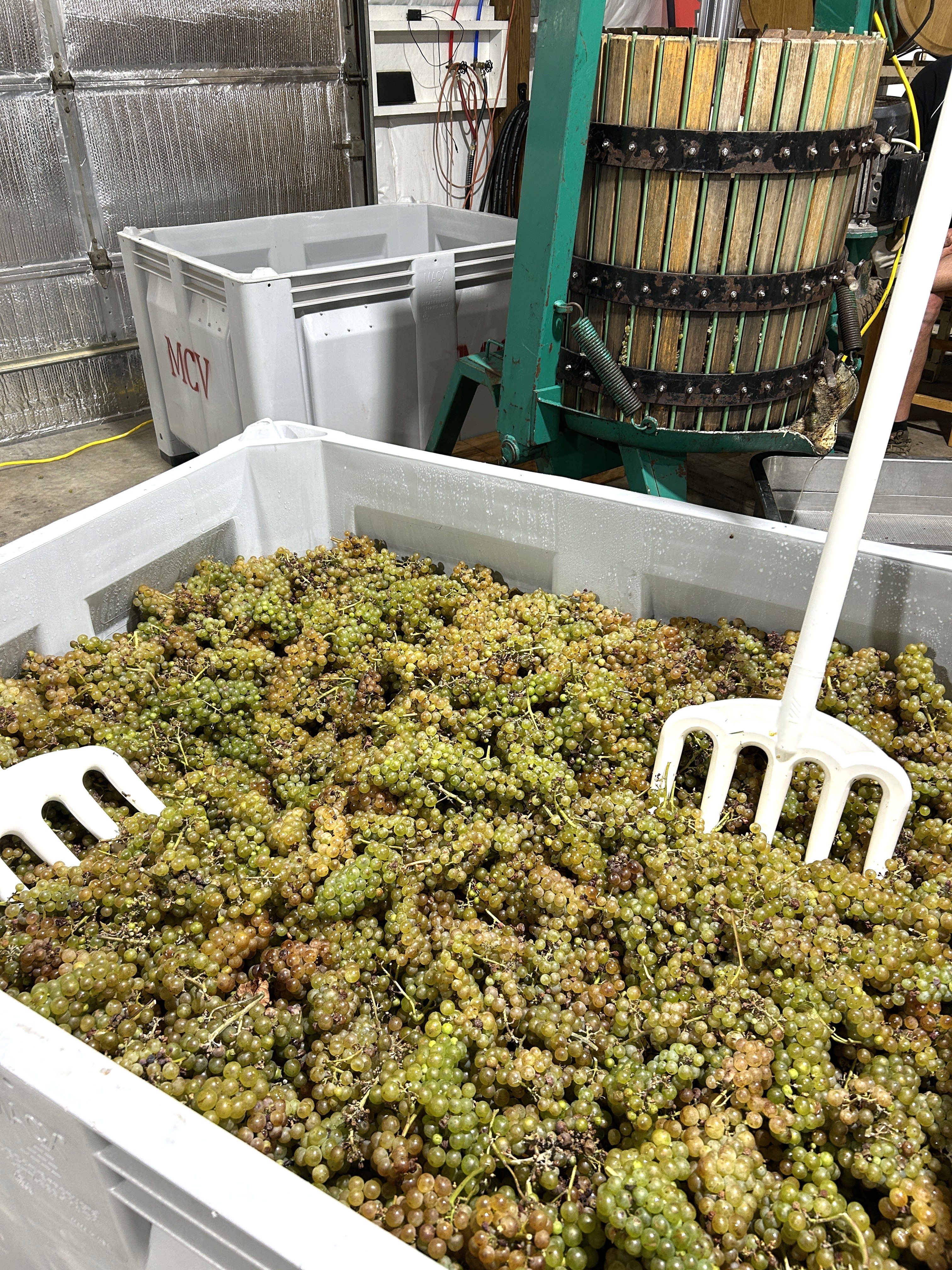 Harvest Picture